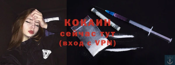 гашик Костерёво